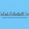 soicau24788
